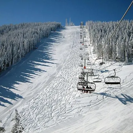 Hills Royal *
