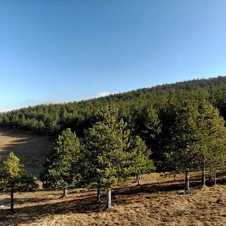 Hills Royal 公寓 *