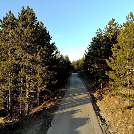 Hills Royal Appartement Zlatibor