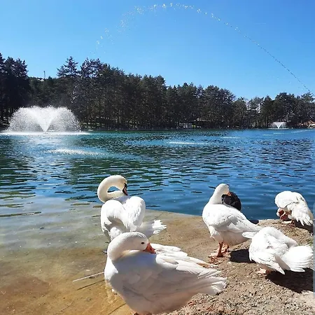 Appartement Hills Royal *