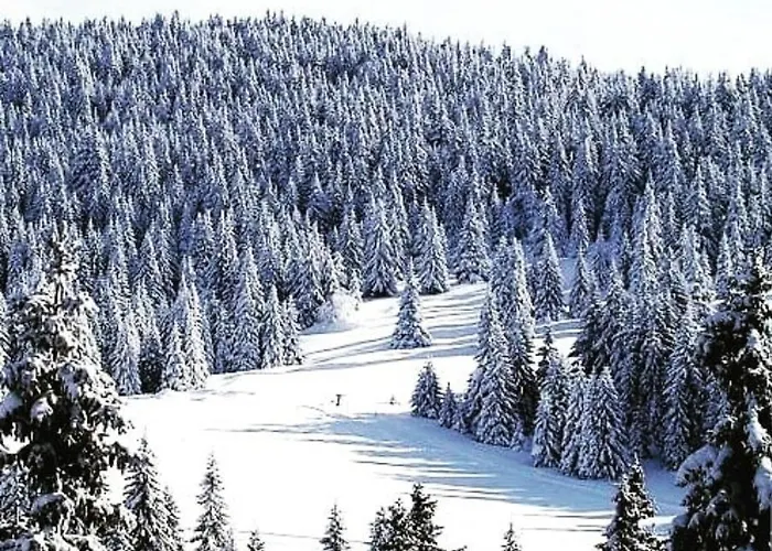 Appartamento Hills Royal Zlatibor