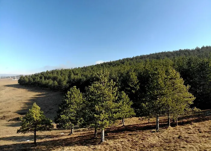 Hills Royal Appartamento *