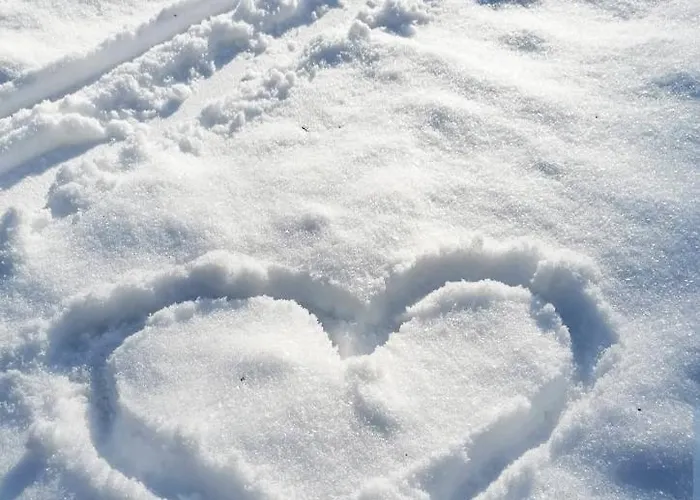 Hills Royal * Zlatibor