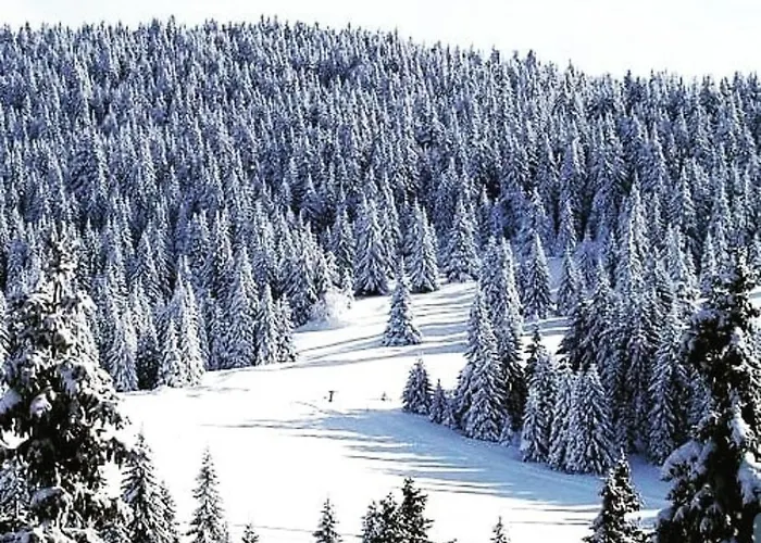 Hills Royal Appartamento Zlatibor