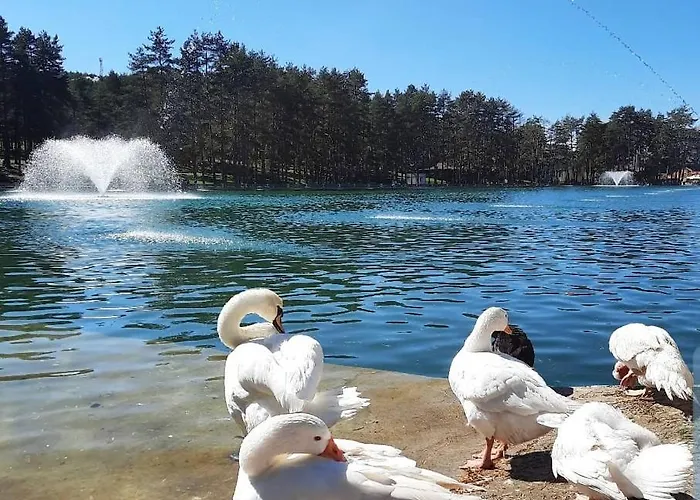 Appartamento Hills Royal *